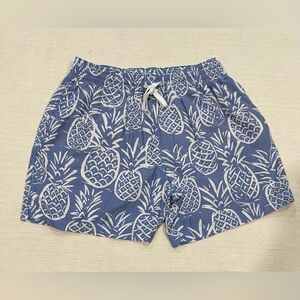Chubbies The Thigh-Napples - Pineapples on Dusty Blue swim trunks 5.5” Size Med